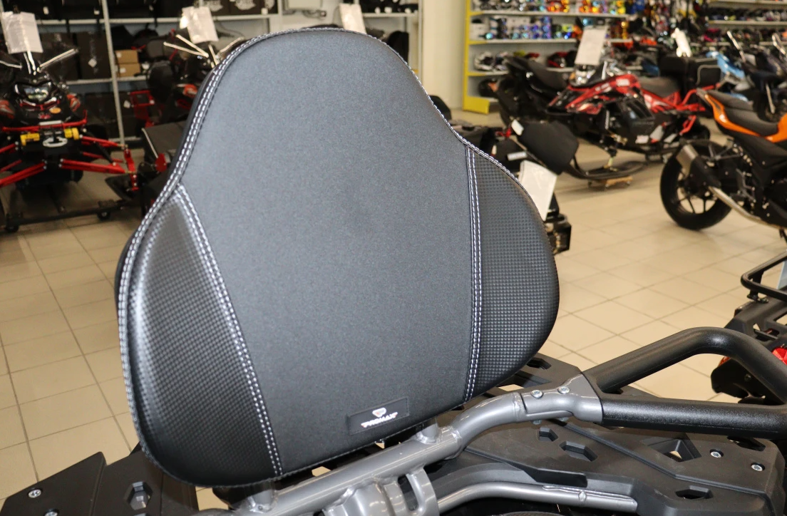 Квадроцикл PROMAX RENEGADE 300 LONG WINCH PRO в Мурманске