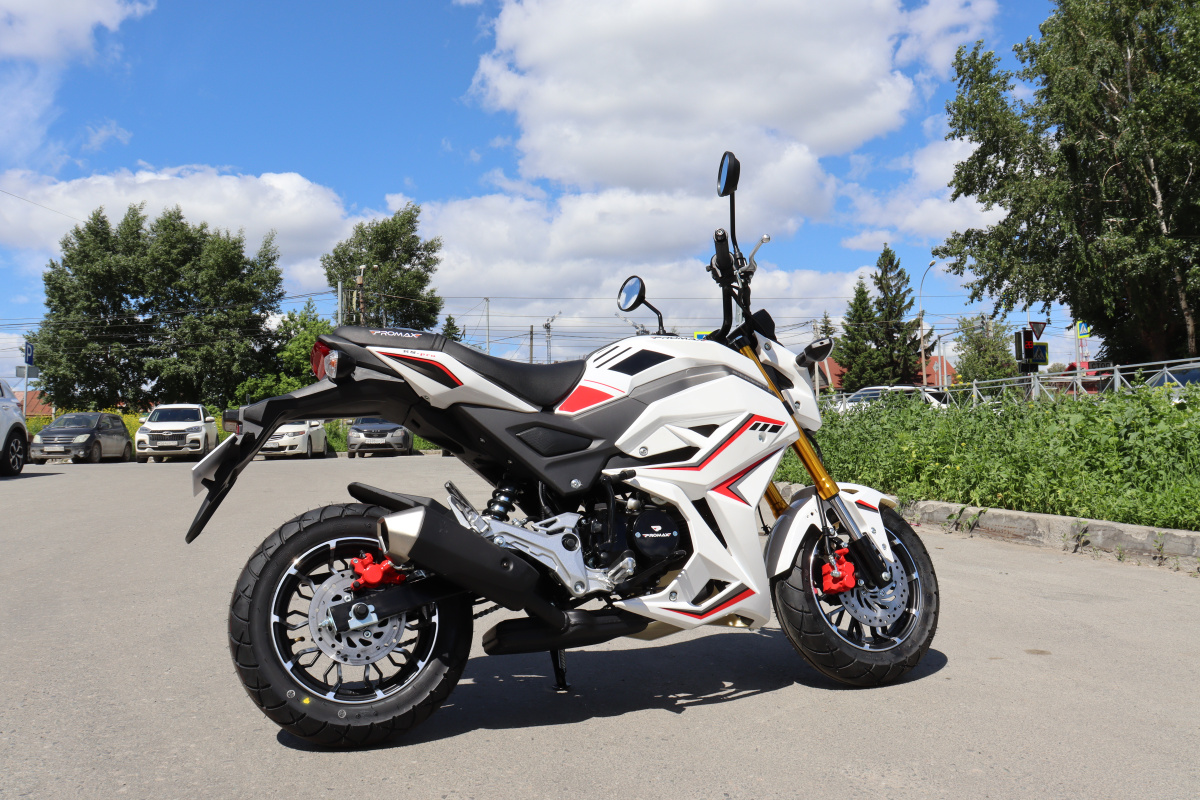 Мотоцикл PROMAX STRYKER 200(49) 2.0 в Мурманске
