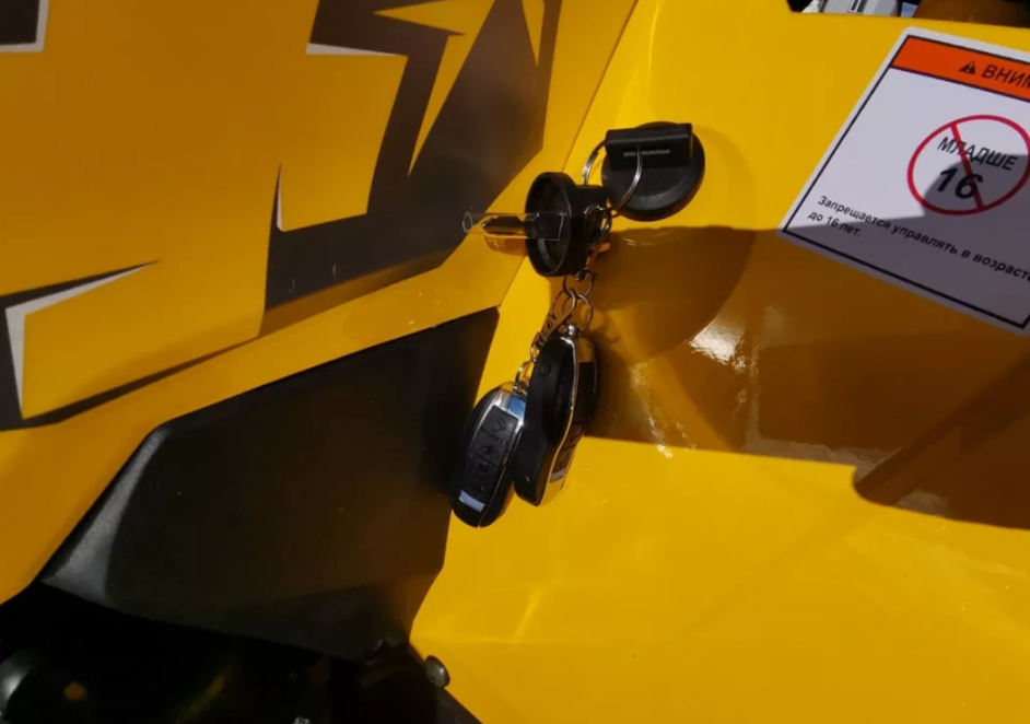 Квадроцикл MOTOLAND (МОТОЛЕНД) VOX200 WILD TRACK X PRO (баланс. вал) в Мурманске