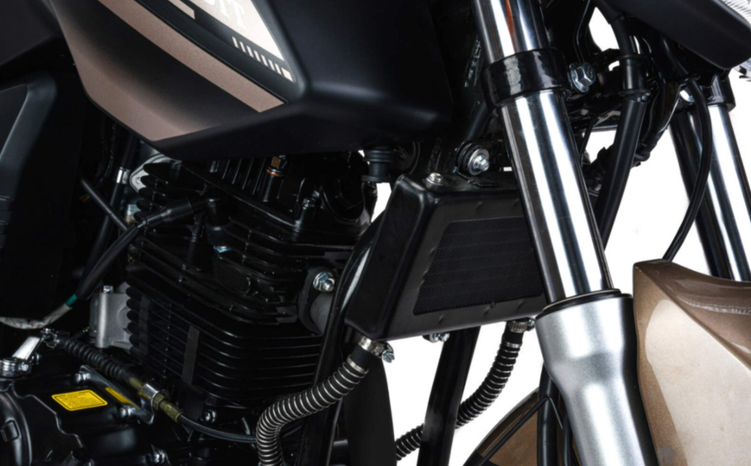 Мотоцикл MOTOLAND (МОТОЛЕНД) 300 BANDIT в Мурманске