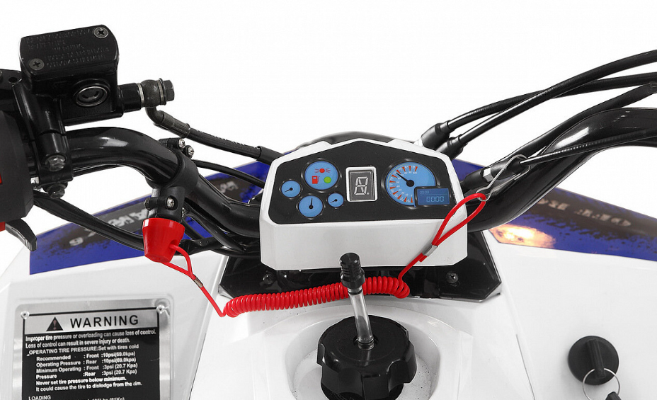 Квадроцикл Yacota Raposa 110 в Мурманске