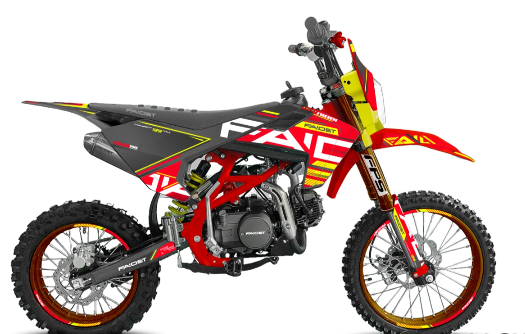 Питбайк FAIDET KAYOT 150E-PRO 19/16 в Мурманске