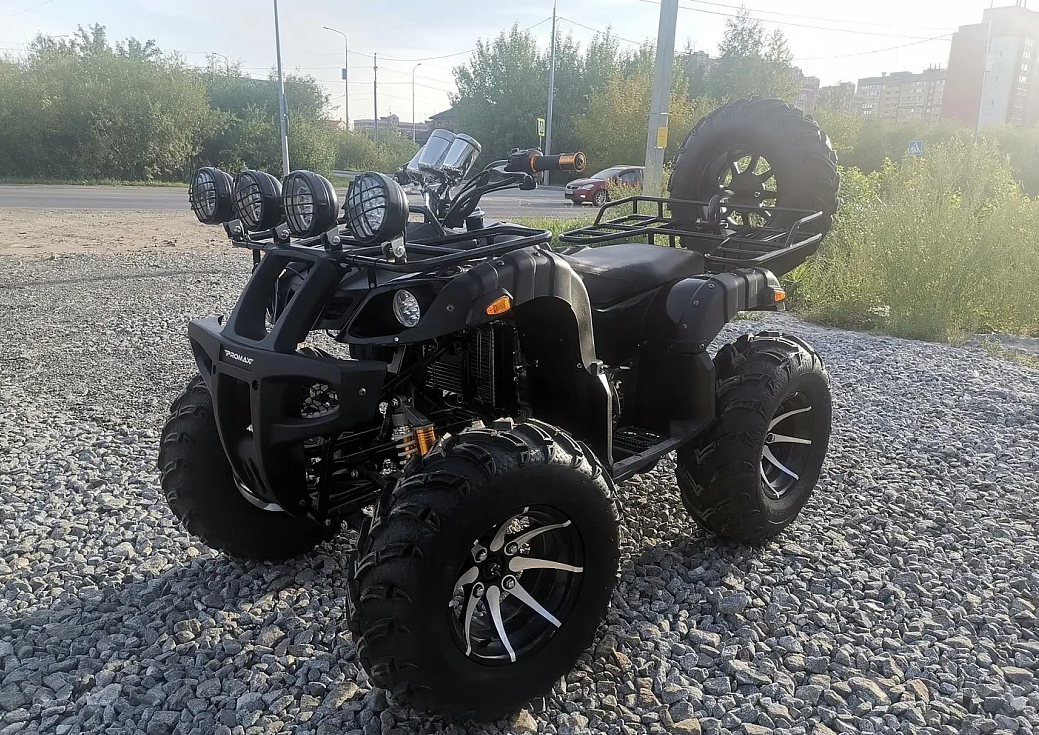 Квадроцикл PROMAX LEO 300 Max (кардан) в Мурманске