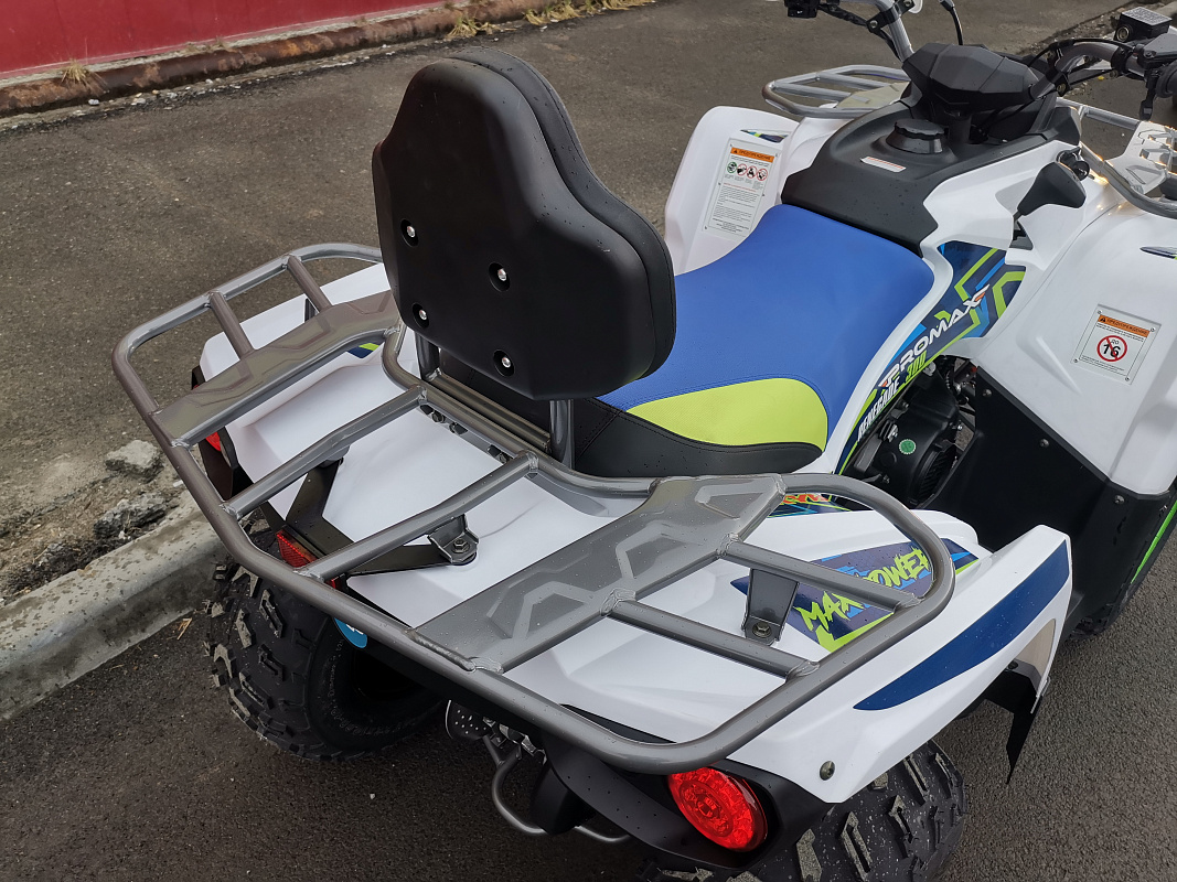 Квадроцикл PROMAX RENEGADE 280 LUX в Мурманске