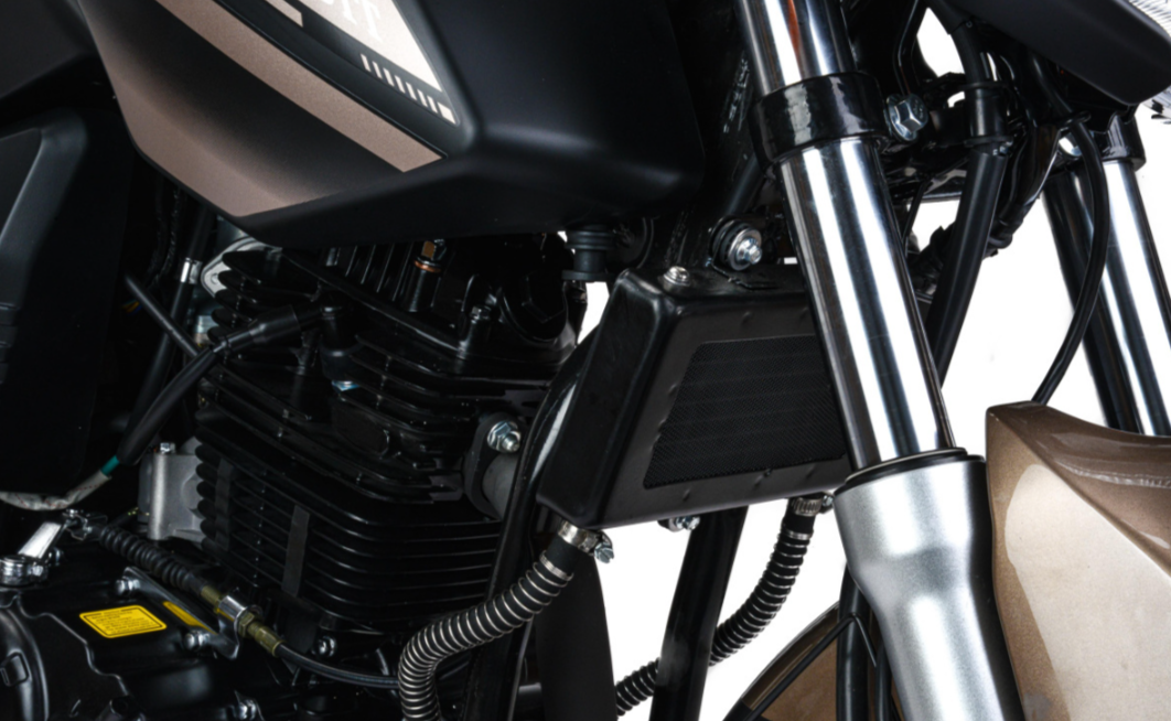 Мотоцикл MOTOLAND (МОТОЛЕНД) 300 BANDIT в Мурманске