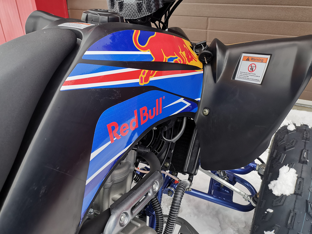 Квадроцикл PROMAX RAPTOR 300 NEW RedBull в Мурманске