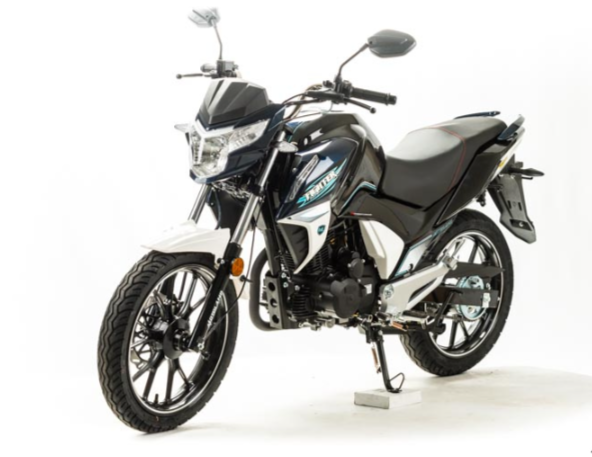 Мотоцикл MOTOLAND (МОТОЛЕНД) FIGHTER 250 в Мурманске