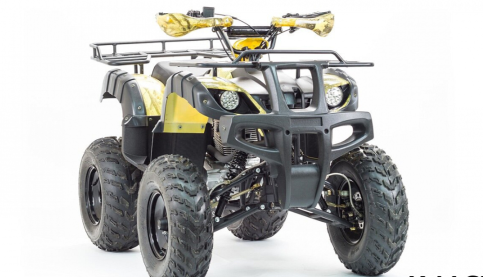 Квадроцикл MOTOLAND (МОТОЛЕНД) 250 ADVENTURE в Мурманске