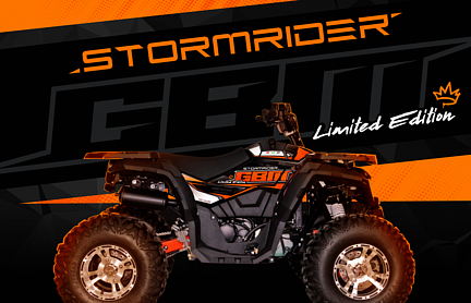 Квадроцикл GBM STORMRIDER 320 NEW LUX в Мурманске
