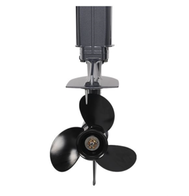 Лодочный мотор ALLFA CG Т40FW S в Мурманске