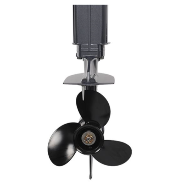 Лодочный мотор ALLFA CG Т40FWT S в Мурманске