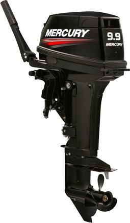 ЛОДОЧНЫЙ МОТОР MERCURY 9.9 MH TMC 247 CC в Мурманске