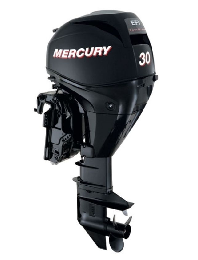 ЛОДОЧНЫЙ МОТОР MERCURY  F 30 ELH GA EFI в Мурманске