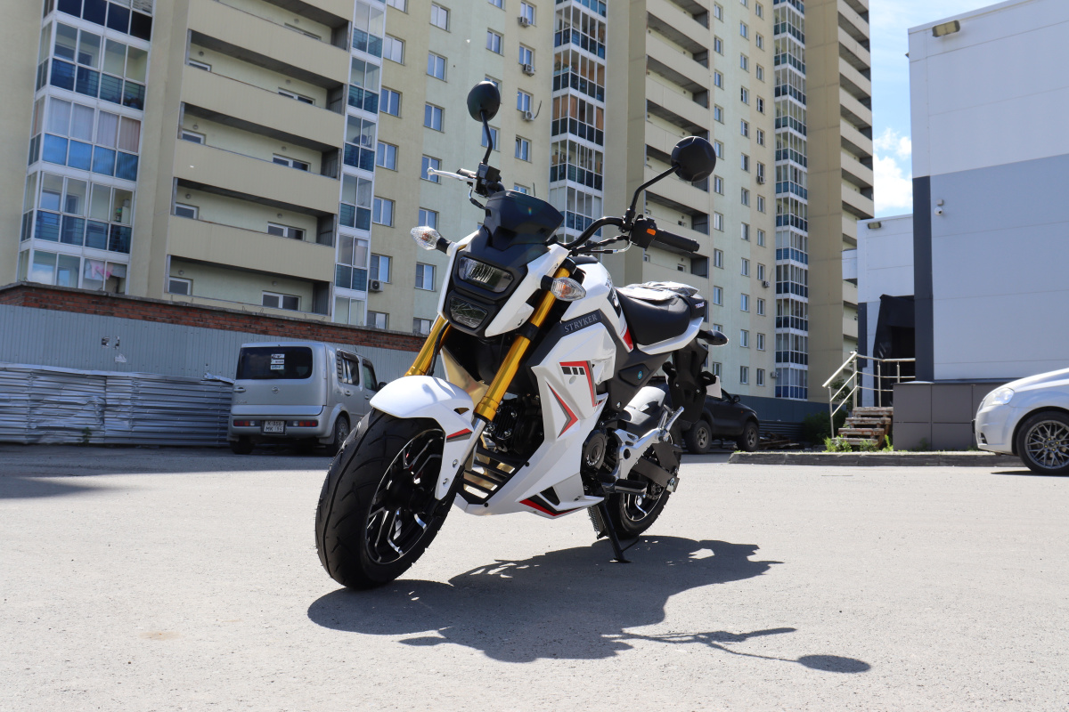 Мотоцикл PROMAX STRYKER 200(49) 2.0 в Мурманске