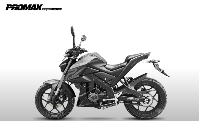 Мотоцикл PROMAX MT300 в Мурманске