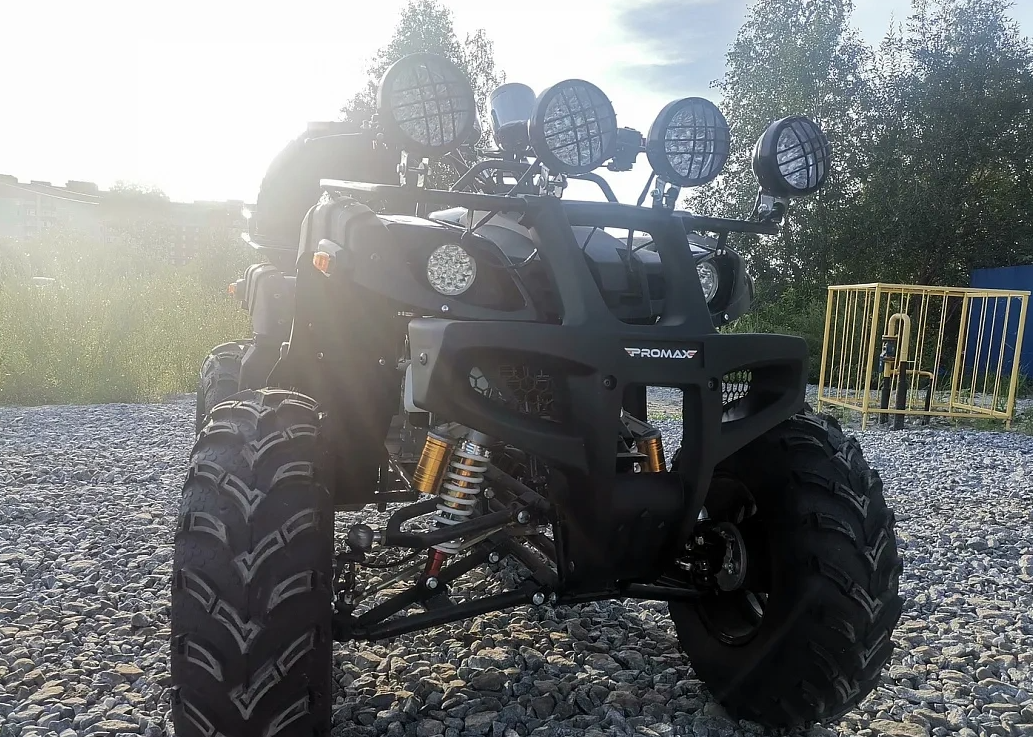 Квадроцикл PROMAX LEO 300 Max (кардан) в Мурманске
