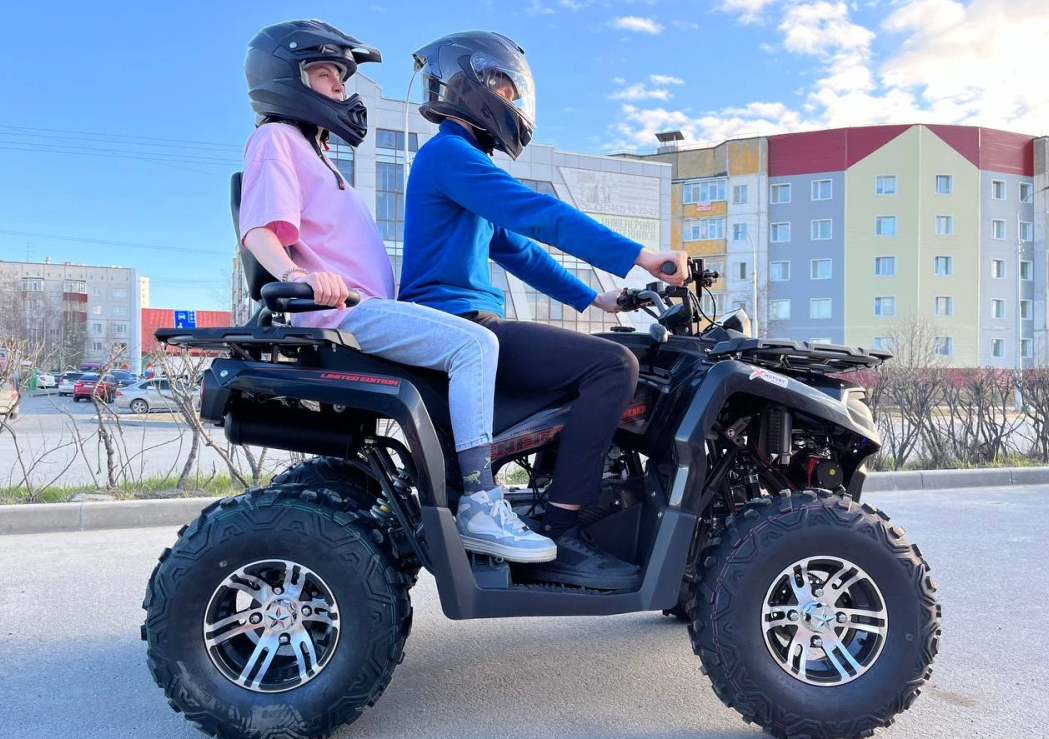 Квадроцикл PROMAX RENEGADE 300 LONG WINCH PRO в Мурманске