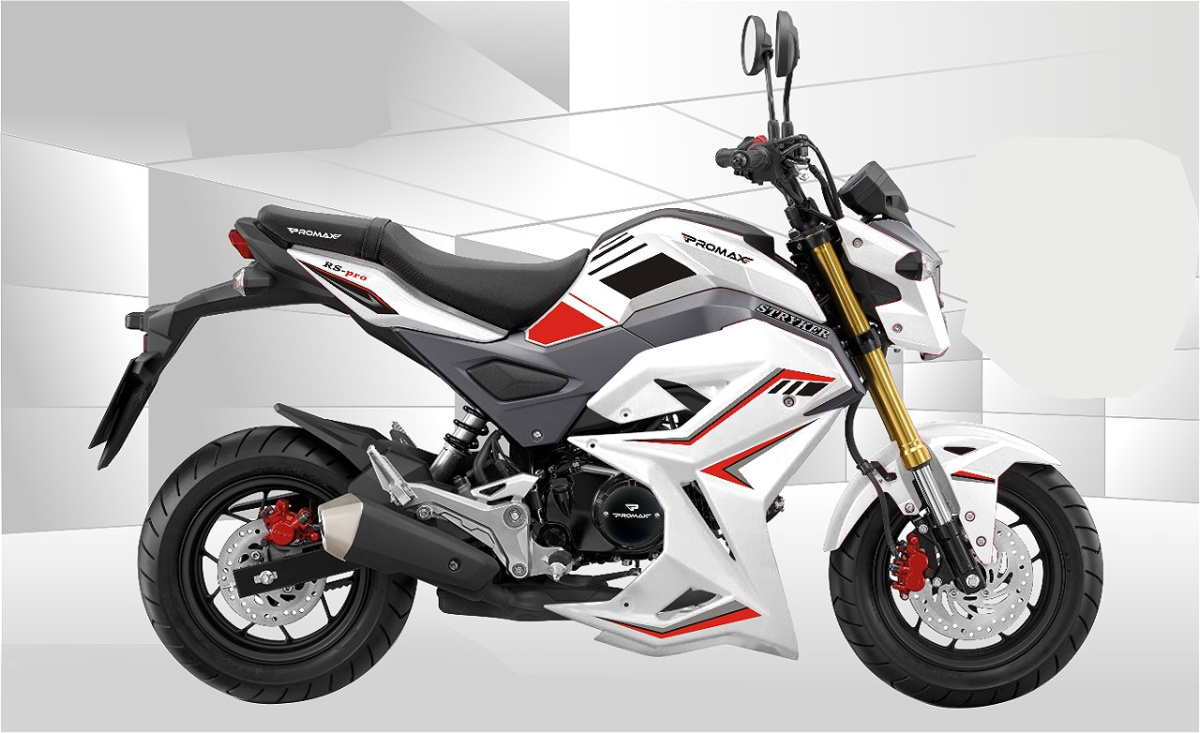 Мотоцикл PROMAX STRYKER 200(49) 2.0 в Мурманске