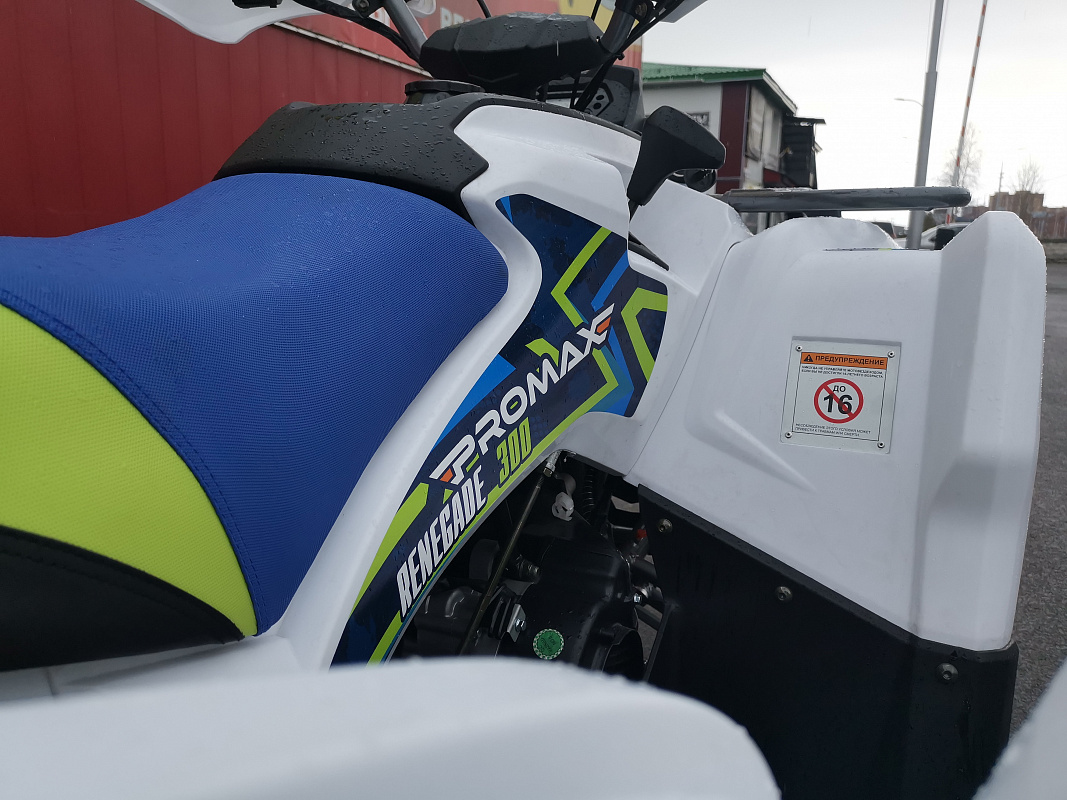 Квадроцикл PROMAX RENEGADE 280 LUX в Мурманске