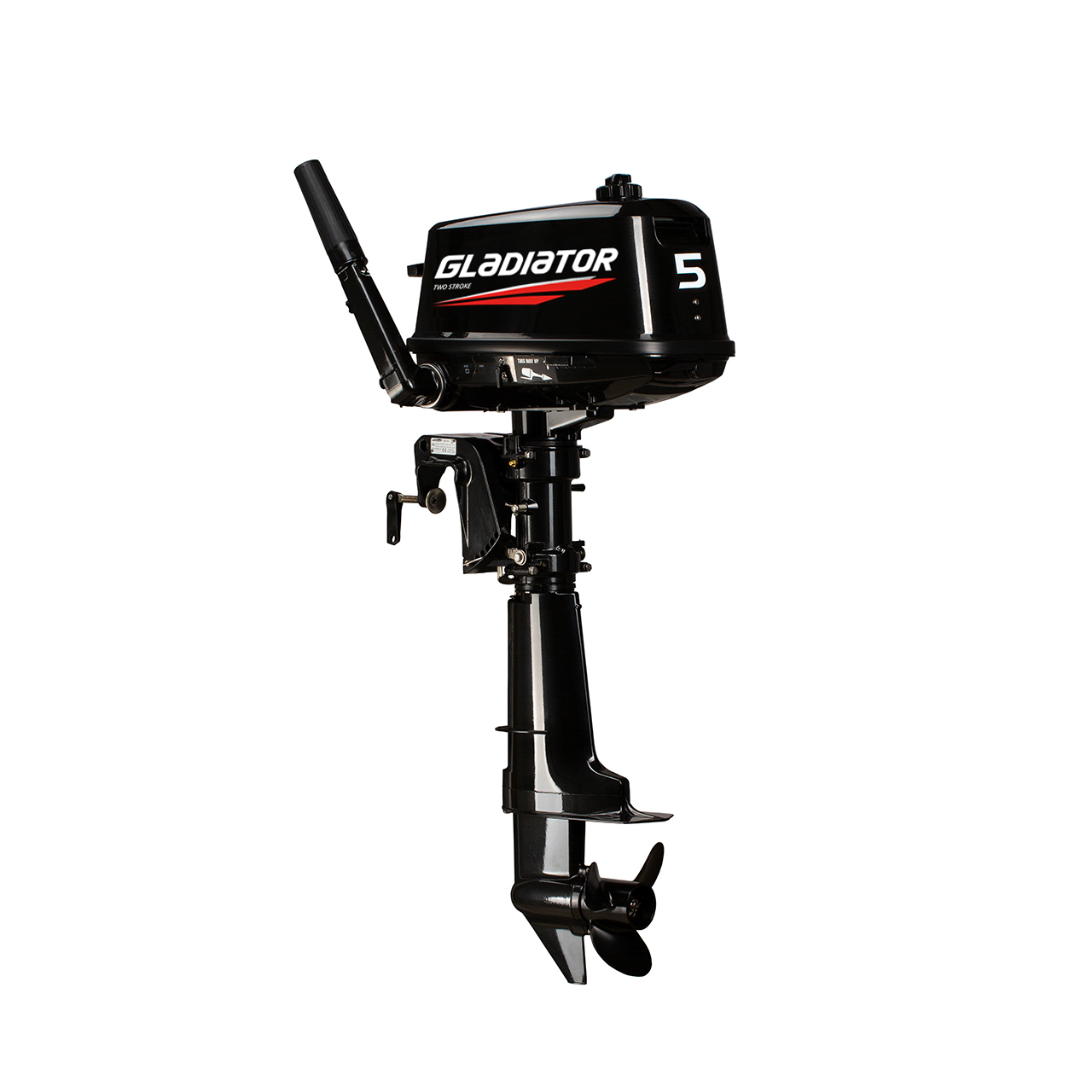 ЛОДОЧНЫЙ МОТОР GLADIATOR G5FHS в Мурманске