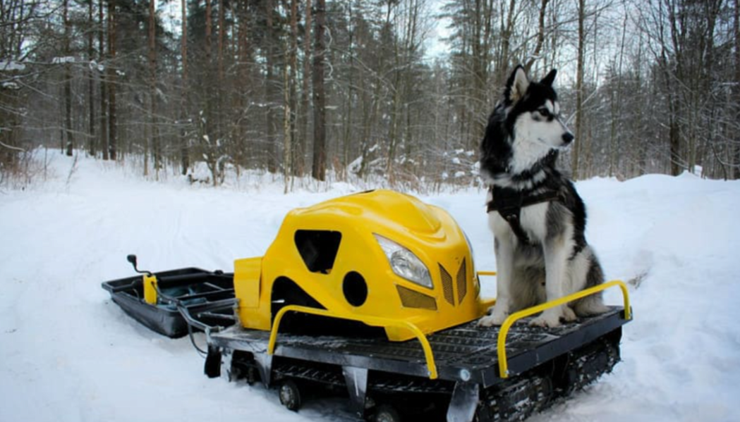 Мотобуксировщик LEBEDEV MOTORS ВОЛКОДАВ POWER V13 в Мурманске