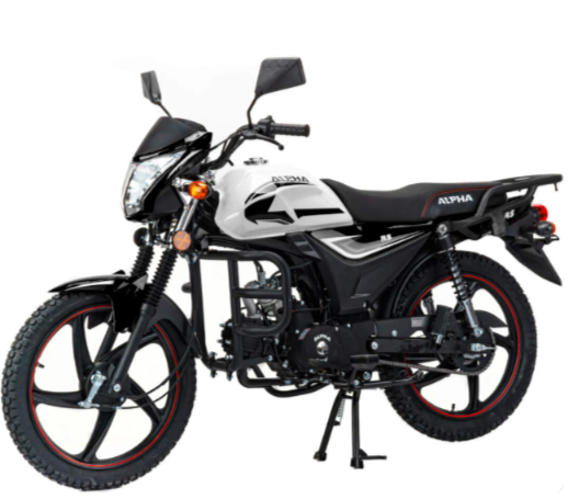 Мопед MOTOLAND (МОТОЛЕНД) Альфа RS 11 (LM48-B) в Мурманске