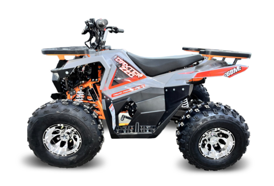 Квадроцикл GBM DAXTER 220 NEW PREMIUM в Мурманске
