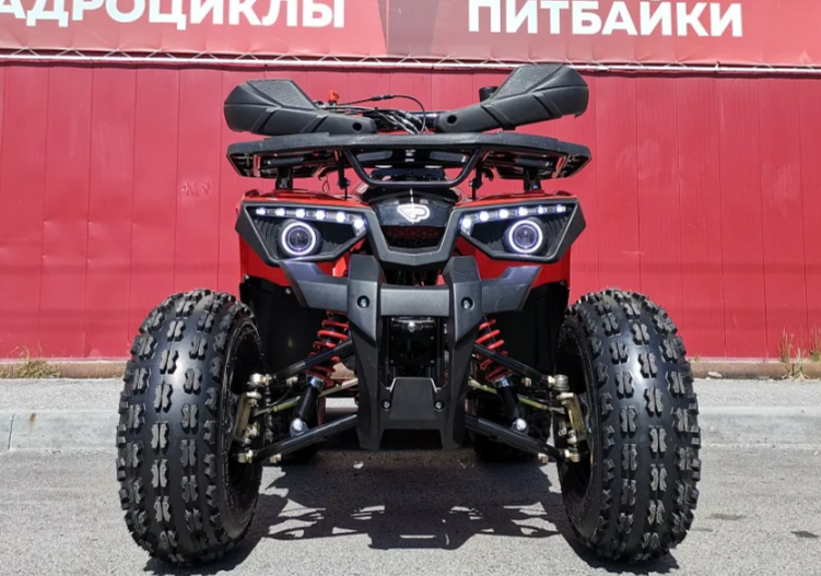 Квадроцикл PROMAX WILD 175 BASIC в Мурманске