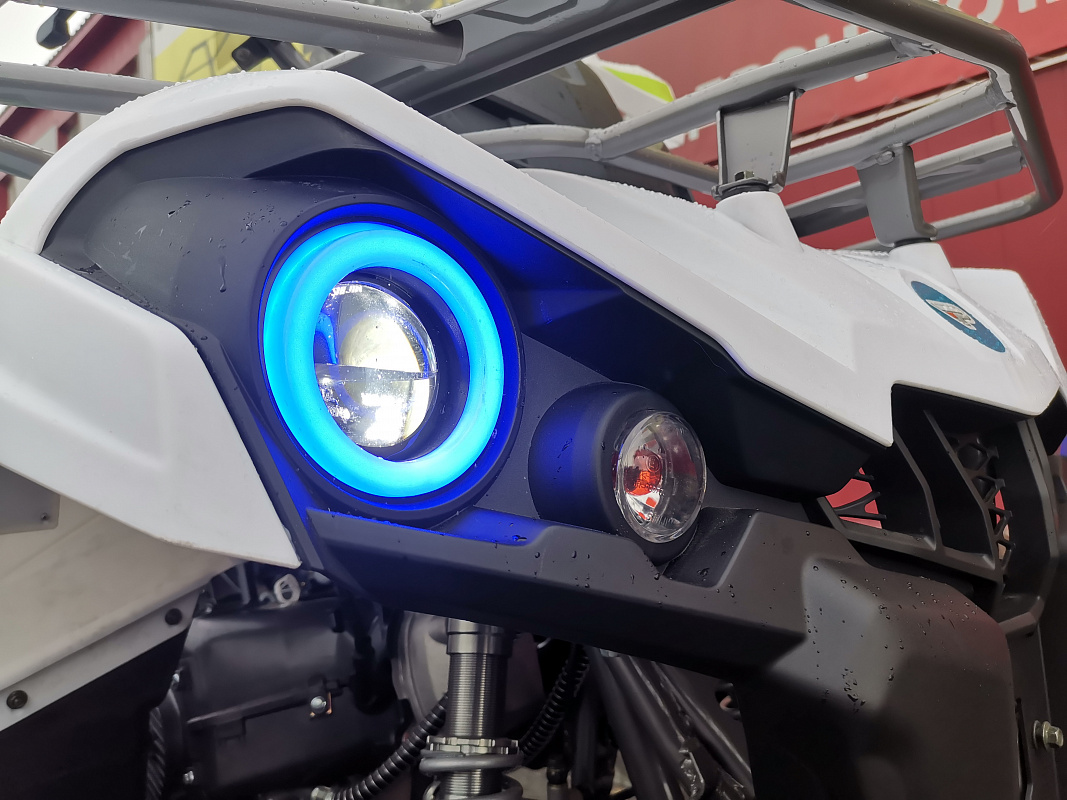 Квадроцикл PROMAX RENEGADE 280 LUX в Мурманске