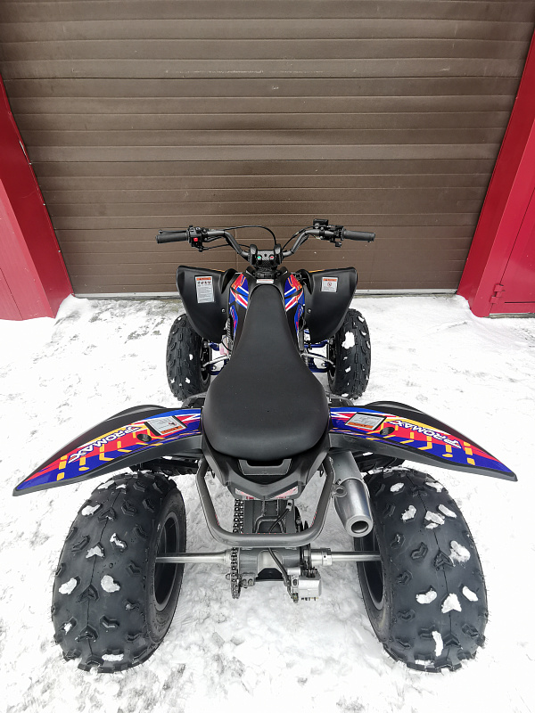 Квадроцикл PROMAX RAPTOR 300 NEW RedBull в Мурманске