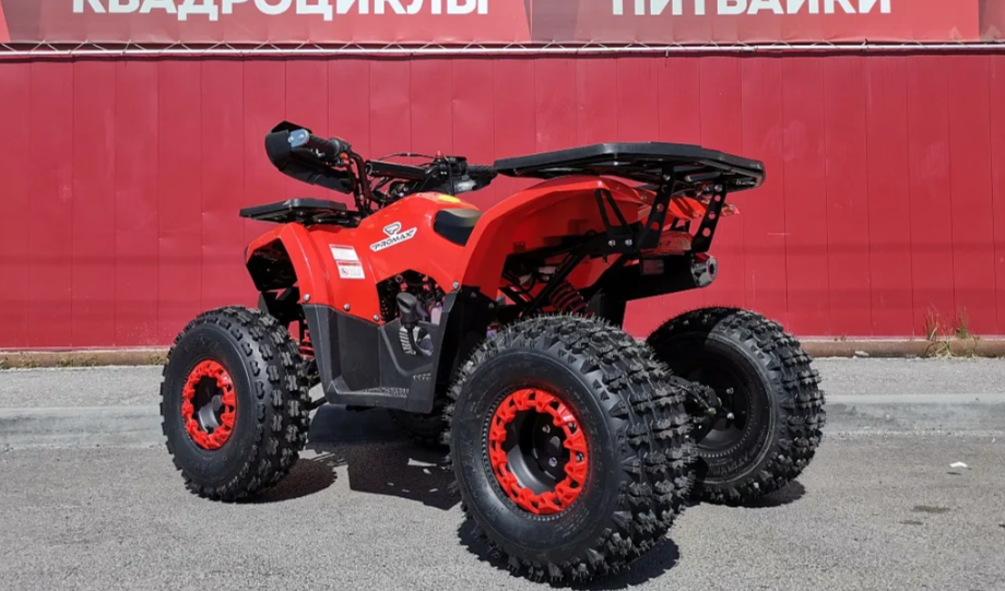 Квадроцикл PROMAX WILD 175 BASIC в Мурманске
