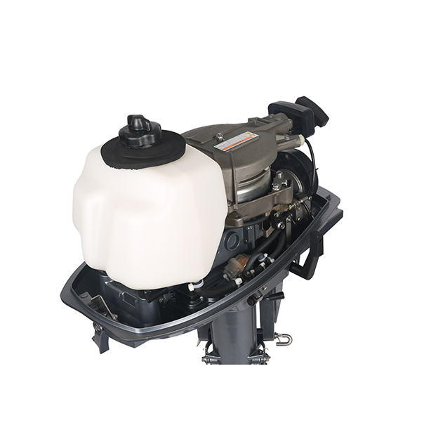 ЛОДОЧНЫЙ МОТОР ALLFA CG T5 в Мурманске