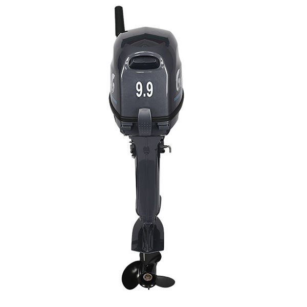 Лодочный мотор ALLFA CG Т9.9(20)MAX в Мурманске