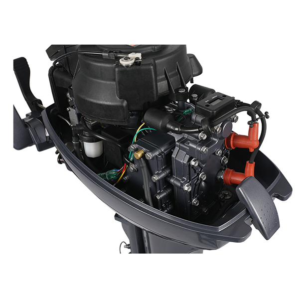 ЛОДОЧНЫЙ МОТОР ALLFA CG Т9,9 в Мурманске