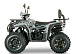 Квадроцикл YACOTA DRAGON LUX LD 125 в Мурманске