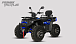 Квадроцикл PROMAX TAURUS 300 MAX-PRO LONG в Мурманске