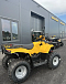 КВАДРОЦИКЛ IRBIS ATV 250  в Мурманске