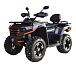 Квадроцикл MOTOLAND (МОТОЛЕНД) 300 MAX X в Мурманске