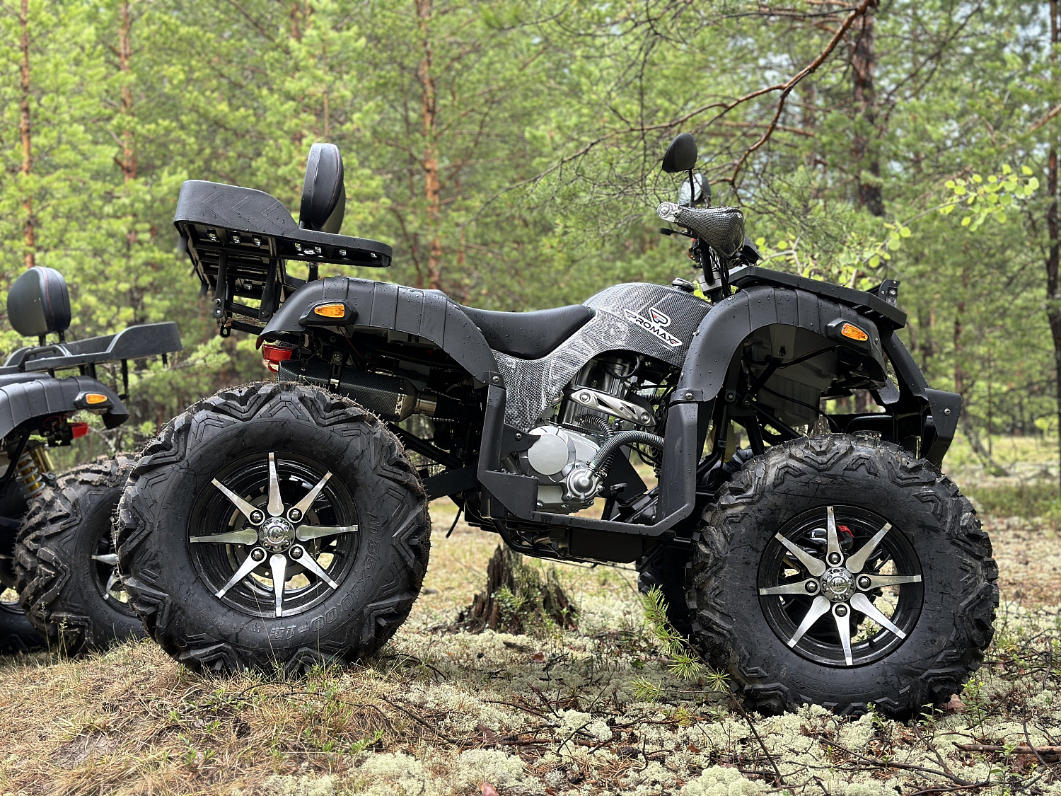 Квадроцикл PROMAX 320 DOMINATOR PRO в Мурманске