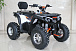 Квадроцикл GBM STORMRIDER 320 PREMIUM в Мурманске