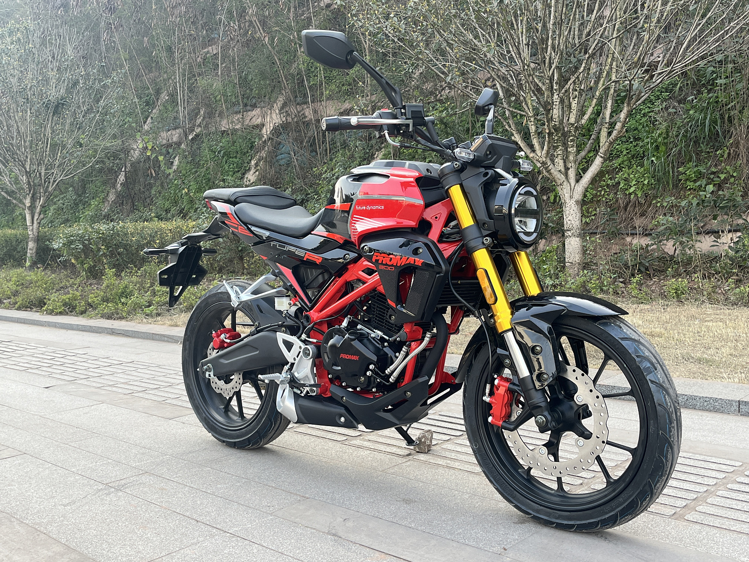 Мотоцикл PROMAX CB300 в Мурманске