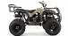 Квадроцикл MOTOLAND (МОТОЛЕНД) 200 ALL ROAD в Мурманске