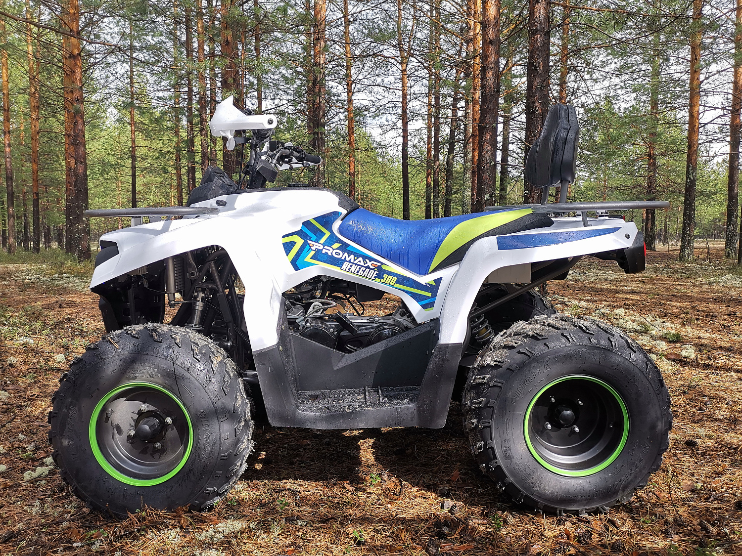 Квадроцикл PROMAX RENEGADE 280 в Мурманске