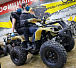 Квадроцикл PROMAX ATV 250 в Мурманске