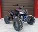 Квадроцикл PROMAX RAPTOR 300 NEW RedBull в Мурманске