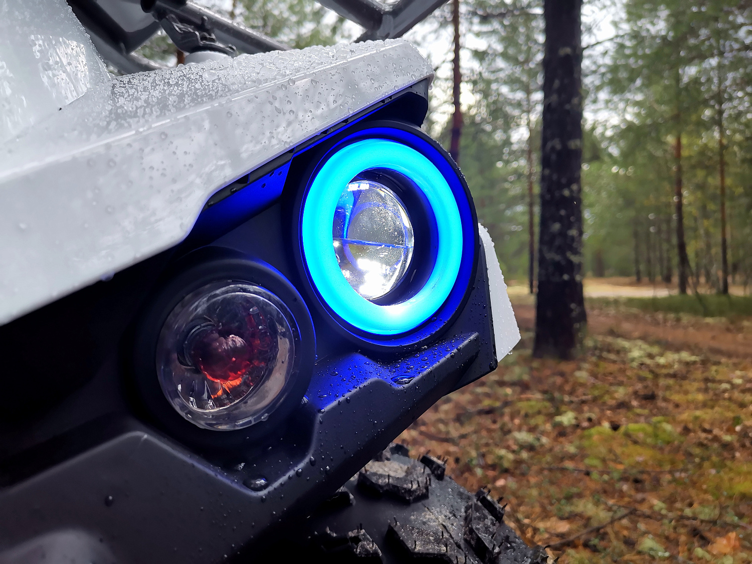 Квадроцикл PROMAX RENEGADE 280 в Мурманске