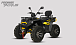 Квадроцикл PROMAX TAURUS 300 MAX-PRO LONG в Мурманске